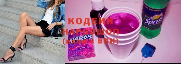 прущая мука Арсеньев