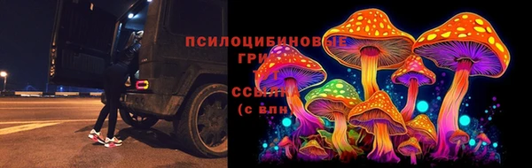 герыч Аркадак