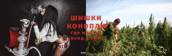 ПСИЛОЦИБИНОВЫЕ ГРИБЫ Алексин