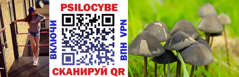 Псилоцибиновые грибы прущие грибы  Лукоянов 
